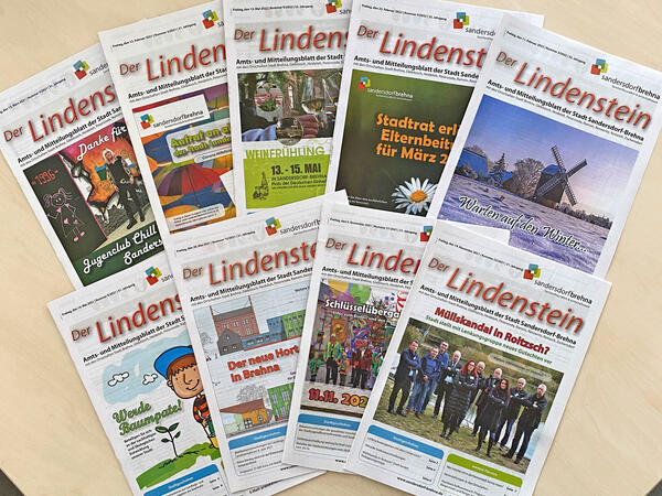 Bild vergrößern: Ausgaben des Lindensteins