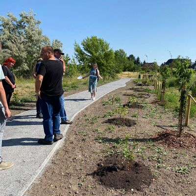 Bild vergrößern: Die Gäste bei der Begehung der Naturstadt Sandersdorf-Brehna.