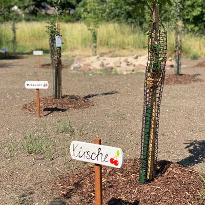 Bild vergrößern: Nachhaltige Schilder bestimmen  die Baum- oder Strauchsorte in der Naturstadt Sandersdorf-Brehna