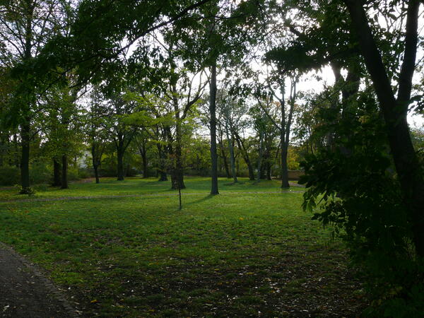 Parkanlage mit Gingko-Bäumen