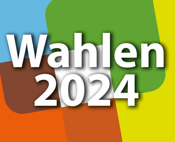 Musterbild zu Wahlen 2024