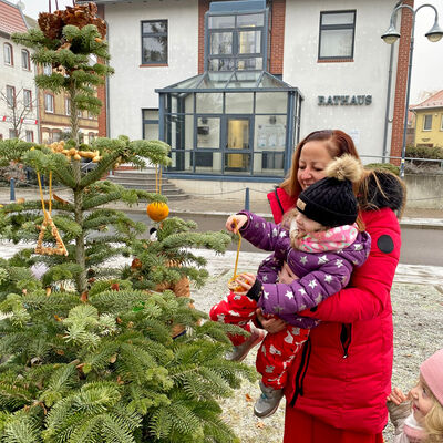 Bild vergrößern: Baumpatenschaft des Weihnachtsbaumes am Rathaus Sandersdorf
