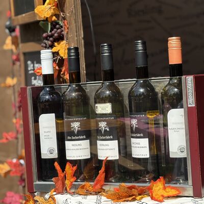 Bild vergrößern: Impression vom Weinfrühling 2025