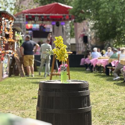 Bild vergrößern: Impression vom Weinfrühling 2025