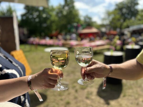 Impression vom Weinfrühling 2025