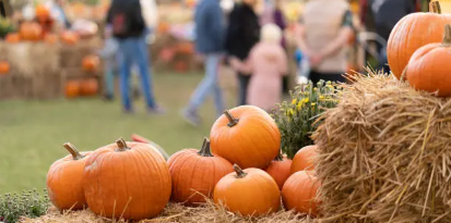 Herbstfest der Vereine in Brehna