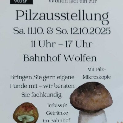 Pilzausstellung 2025