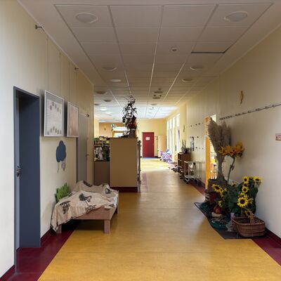 Bild vergr&ouml;&szlig;ern: Gl&uuml;ckspilz