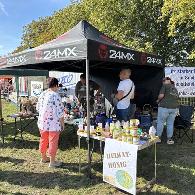 Bild vergr&ouml;&szlig;ern: Impressionen vom Stadtfest