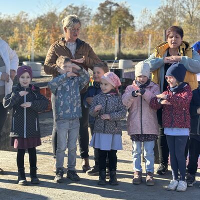 Bild vergrößern: 2025-11-06 12.40.51-1