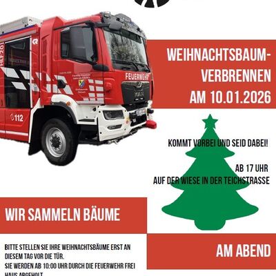 Weihnachtsbaumverbrennen Roitzsch 10.01.2026
