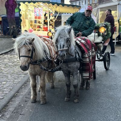 Bild vergr&ouml;&szlig;ern: Impression vom Weihnachtsmarkt Sandersdorf 2025