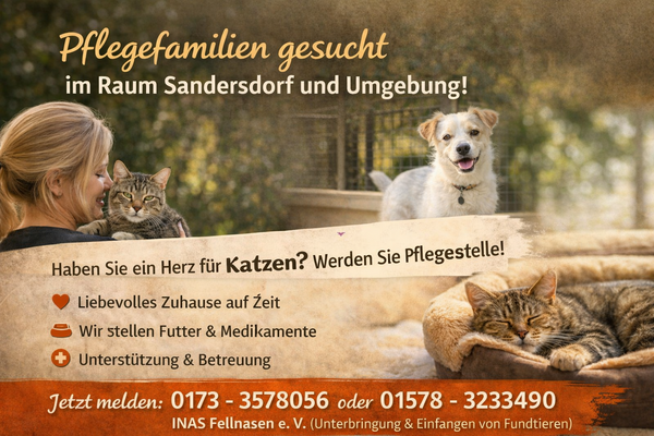 Informationsplakat zum Vertragspartner von Fundtieren