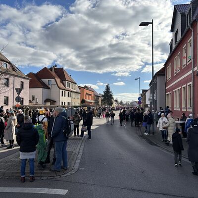 Bild vergr&ouml;&szlig;ern: Impression vom Karnevalsumzug in Sandersdorf 2026