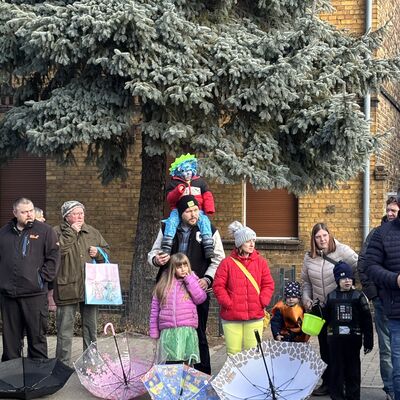 Bild vergr&ouml;&szlig;ern: Impression vom Karnevalsumzug in Sandersdorf 2026