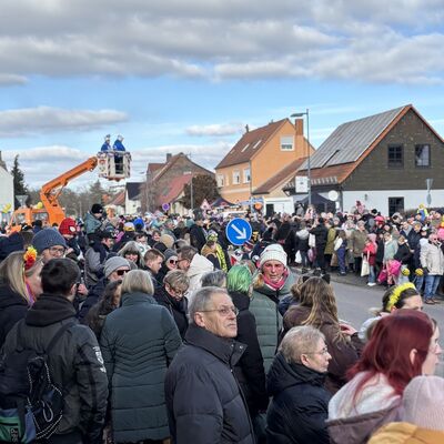 Bild vergr&ouml;&szlig;ern: Impression vom Karnevalsumzug in Sandersdorf 2026