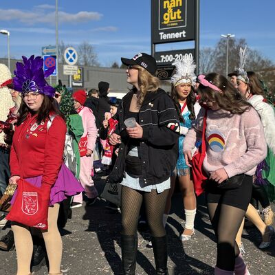 Bild vergr&ouml;&szlig;ern: Impression vom Karnevalsumzug in Sandersdorf 2026