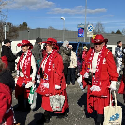 Bild vergr&ouml;&szlig;ern: Impression vom Karnevalsumzug in Sandersdorf 2026