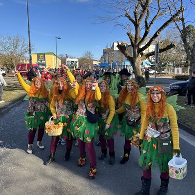 Bild vergr&ouml;&szlig;ern: Impression vom Karnevalsumzug in Sandersdorf 2026