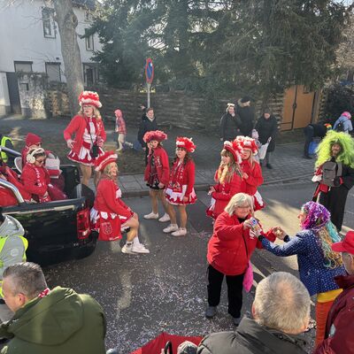 Bild vergr&ouml;&szlig;ern: Impression vom Karnevalsumzug in Sandersdorf 2026