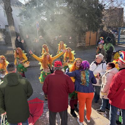 Bild vergr&ouml;&szlig;ern: Impression vom Karnevalsumzug in Sandersdorf 2026