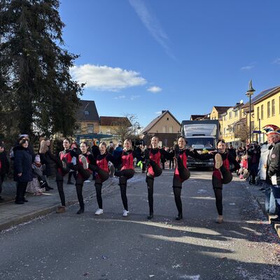 Bild vergr&ouml;&szlig;ern: Impression vom Karnevalsumzug in Sandersdorf 2026