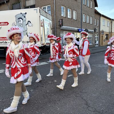 Bild vergr&ouml;&szlig;ern: Impression vom Karnevalsumzug in Sandersdorf 2026