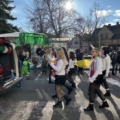 Bild vergr&ouml;&szlig;ern: Impression vom Karnevalsumzug in Sandersdorf 2026