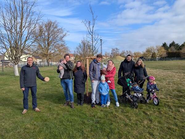 Der Neugeborenenbaum in Renneritz.