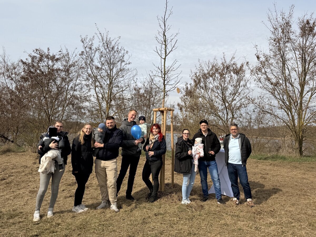 Der Neugeborenenbaum 2026 in Zscherndorf.