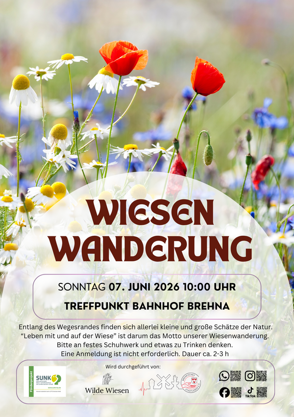 Wiesenwanderung