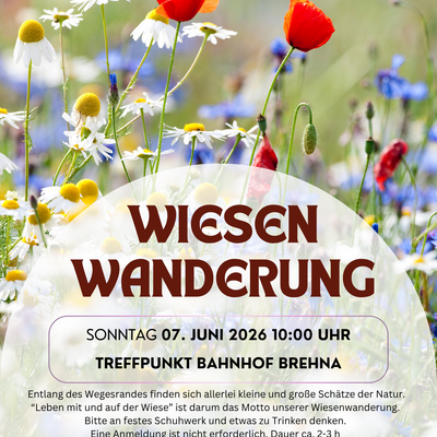 Wiesenwanderung