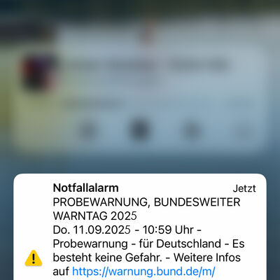 Bild vergr&ouml;&szlig;ern: Warntag - Screenshot Handy