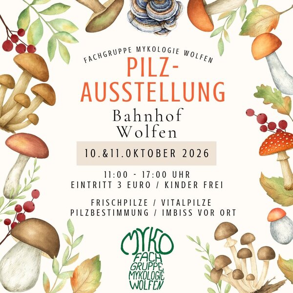 Bild vergr&ouml;&szlig;ern: Pilzausstellung 2026